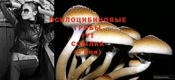 кокаин премиум Осинники