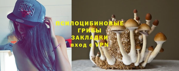 шишки Остров