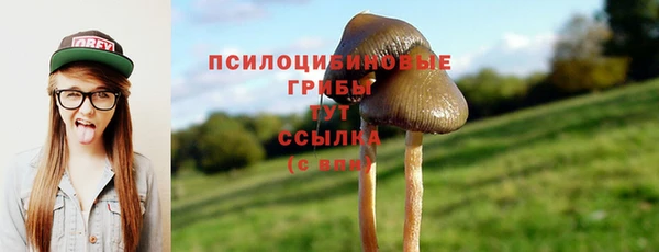шишки Остров
