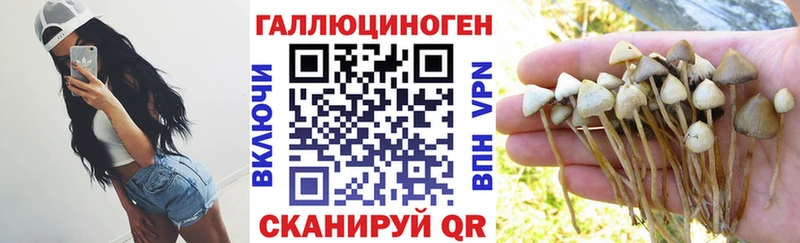 hydra ССЫЛКА  Клинцы  Псилоцибиновые грибы Magic Shrooms 