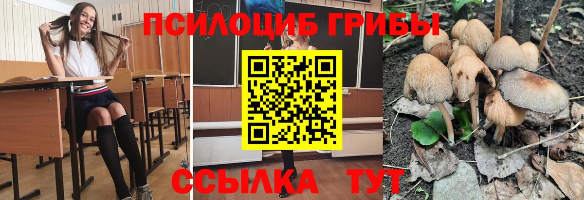 Галлюциногенные грибы мухоморы Клинцы