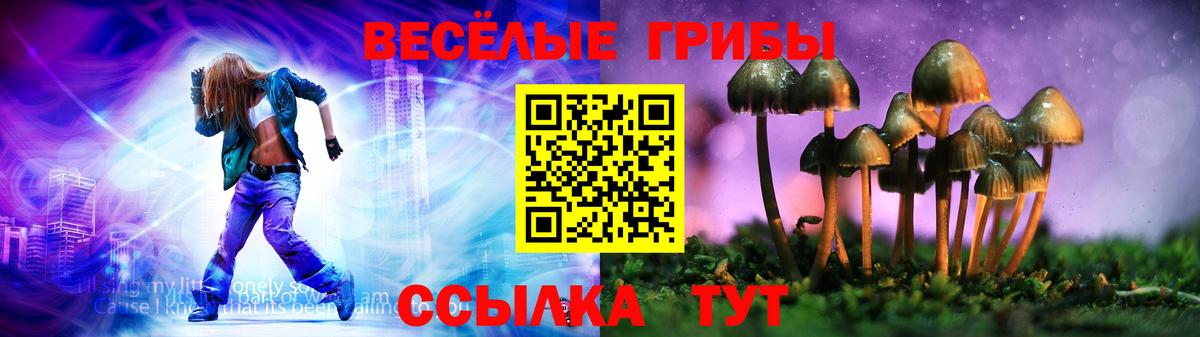 сколько стоит  Вход с VPN  Клинцы  Псилоцибиновые грибы прущие грибы  Галлюциногенные грибы Magic Shrooms 